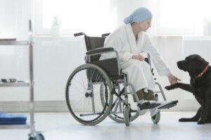 Quali sono gli aspetti legali della pet therapy?