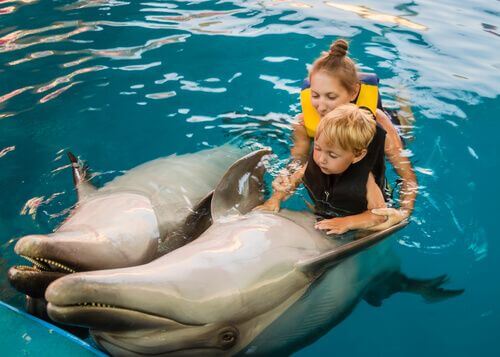 Pet therapy, bambini con delfini.
