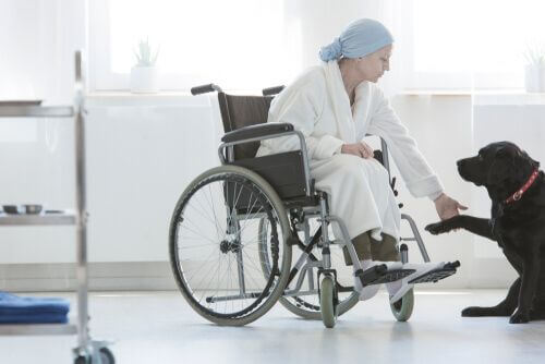 Quali sono gli aspetti legali della pet therapy?