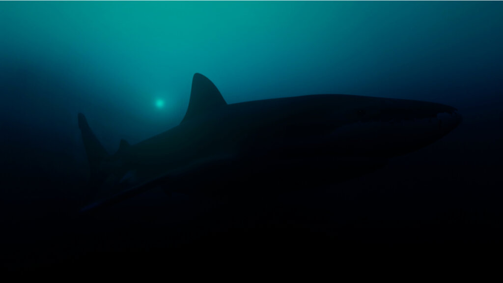 Trovato lo squalo luminoso più grande del mondo
