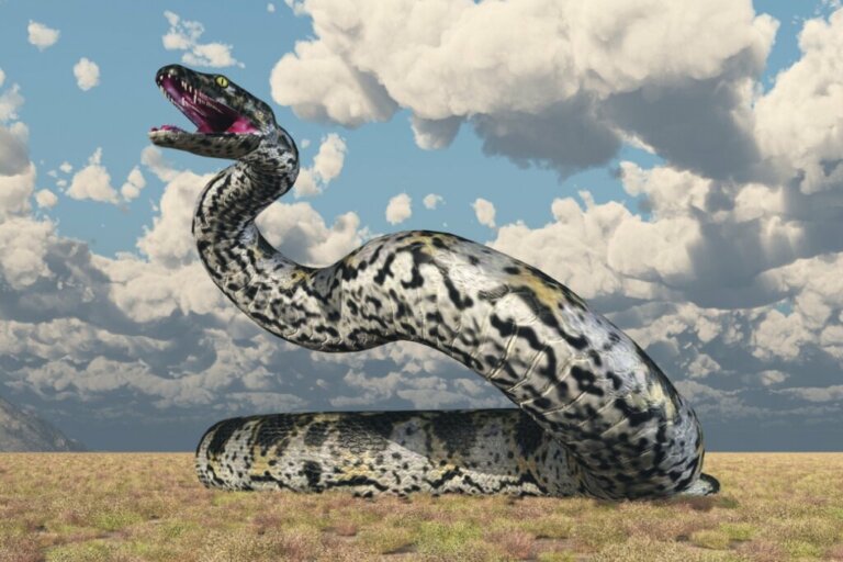 Titanoboa: il serpente più grande mai esistito