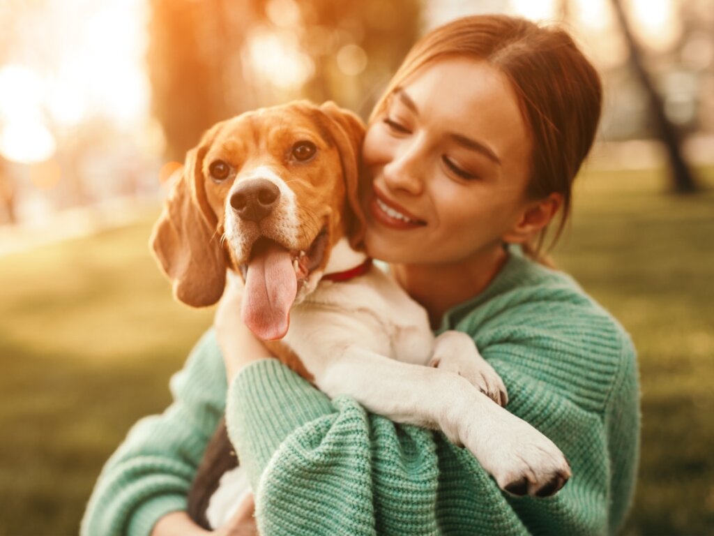 12 domande e risposte sulla cura del cane