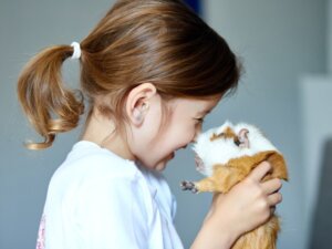 Differenze tra criceto e cavia