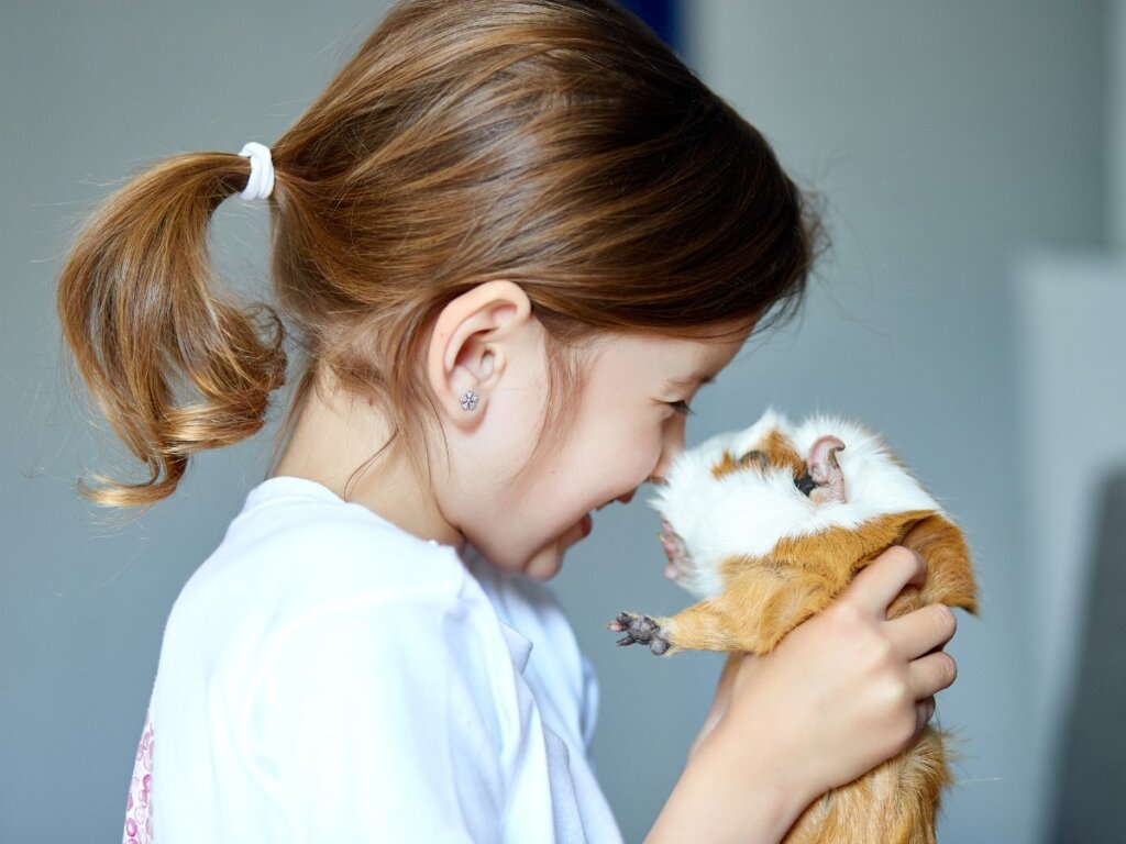 Differenze tra criceto e cavia