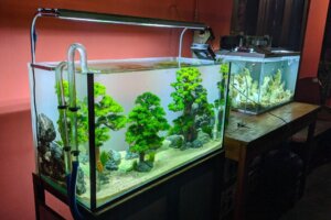 Il mio acquario perde acqua: perché?
