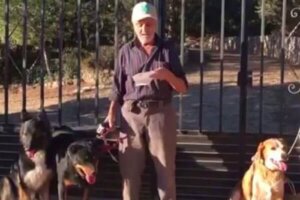 Il cancro lo costringe a trovare una casa per i suoi sei cani