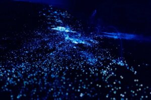 Presenza di plancton e alghe bioluminescenti sulle coste