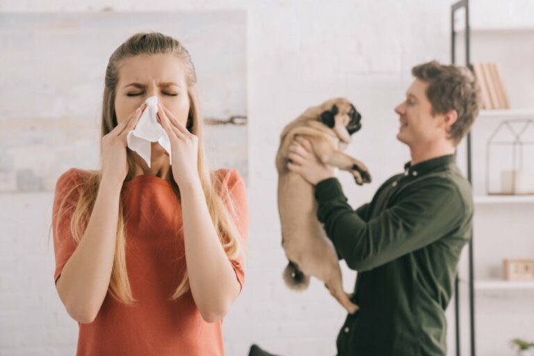 10 razze di cani ideali per chi soffre di allergie