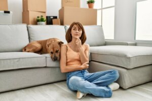 8 gesti dei cani che fraintendiamo