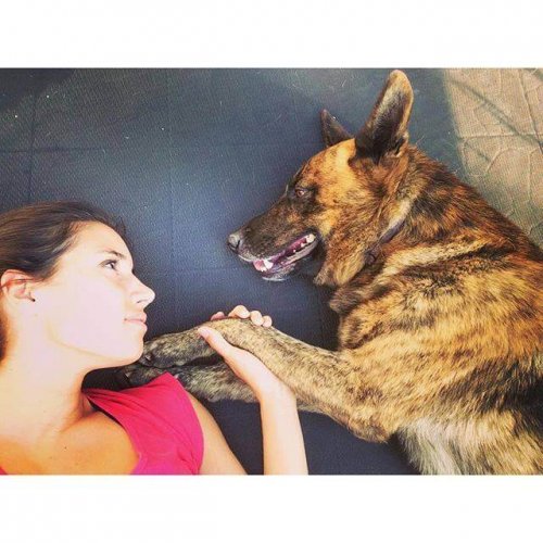 Le parole con cui India Martínez ha detto addio al suo cane morto