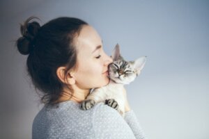 Come faccio a sapere se sono un vero amante dei gatti?