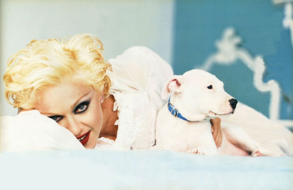 Il cane di Madonna e altri cani di cantanti famosi