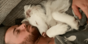 Un uomo idea un sistema per comunicare con il suo cane con disabilità e commuove il mondo