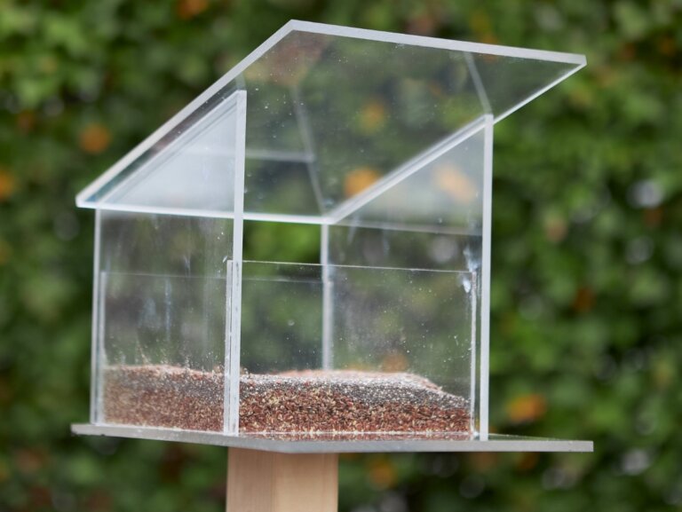 Come costruire una mangiatoia per uccelli in policarbonato?