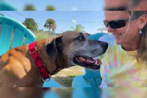 Ha aspettato 8 anni in un rifugio ed è stato finalmente adottato