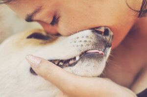 Si possono baciare gli animali domestici sulla bocca?