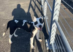 Pensava di aver perso la sua famiglia e quando la ritrova non riesce a trattenere l'emozione