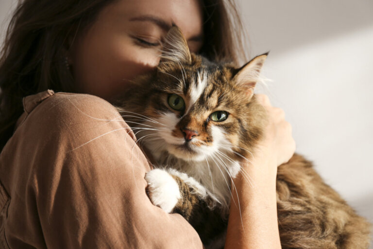 5 strategie per il benessere del vostro gatto
