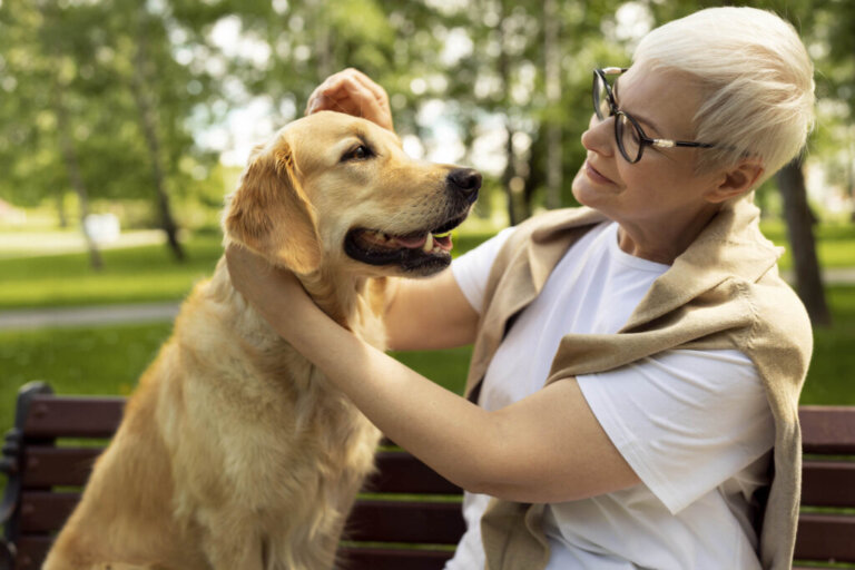 Come conoscere l'età di un cane senza conoscere il giorno di nascita?