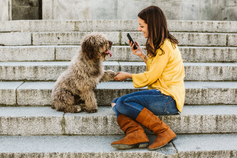 Addestra il tuo cane con Hundeo: la migliore applicazione di addestramento canino