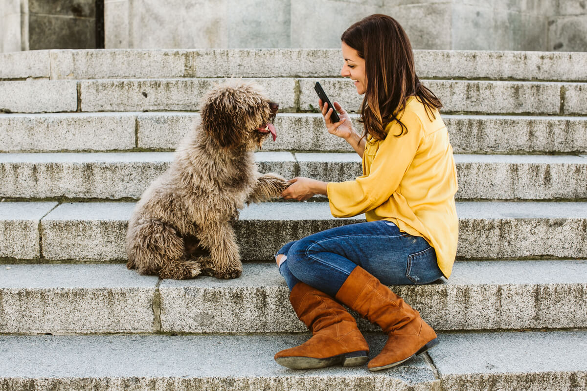 Addestra il tuo cane con Hundeo: la migliore applicazione di addestramento canino