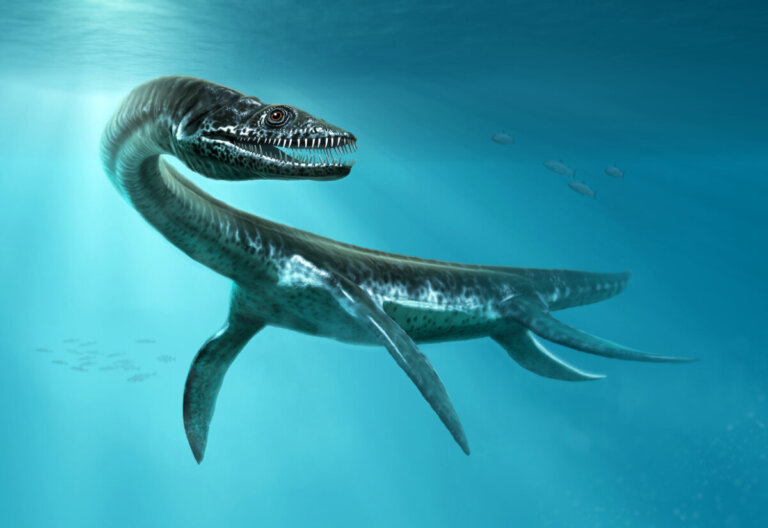 10 tipi di rettili marini dell'era mesozoica