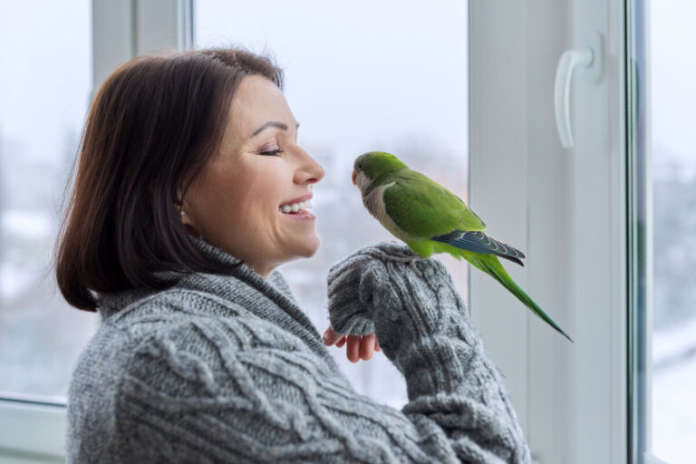 4 frasi che puoi insegnare al tuo pappagallo