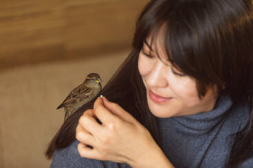 Sapevi che i passeri riconoscono le persone?
