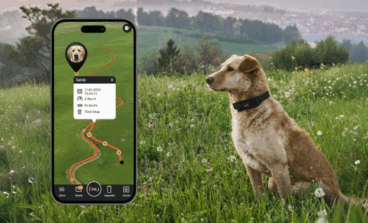 Localizzatori GPS per cani: come funzionano e quale dispositivo scegliere